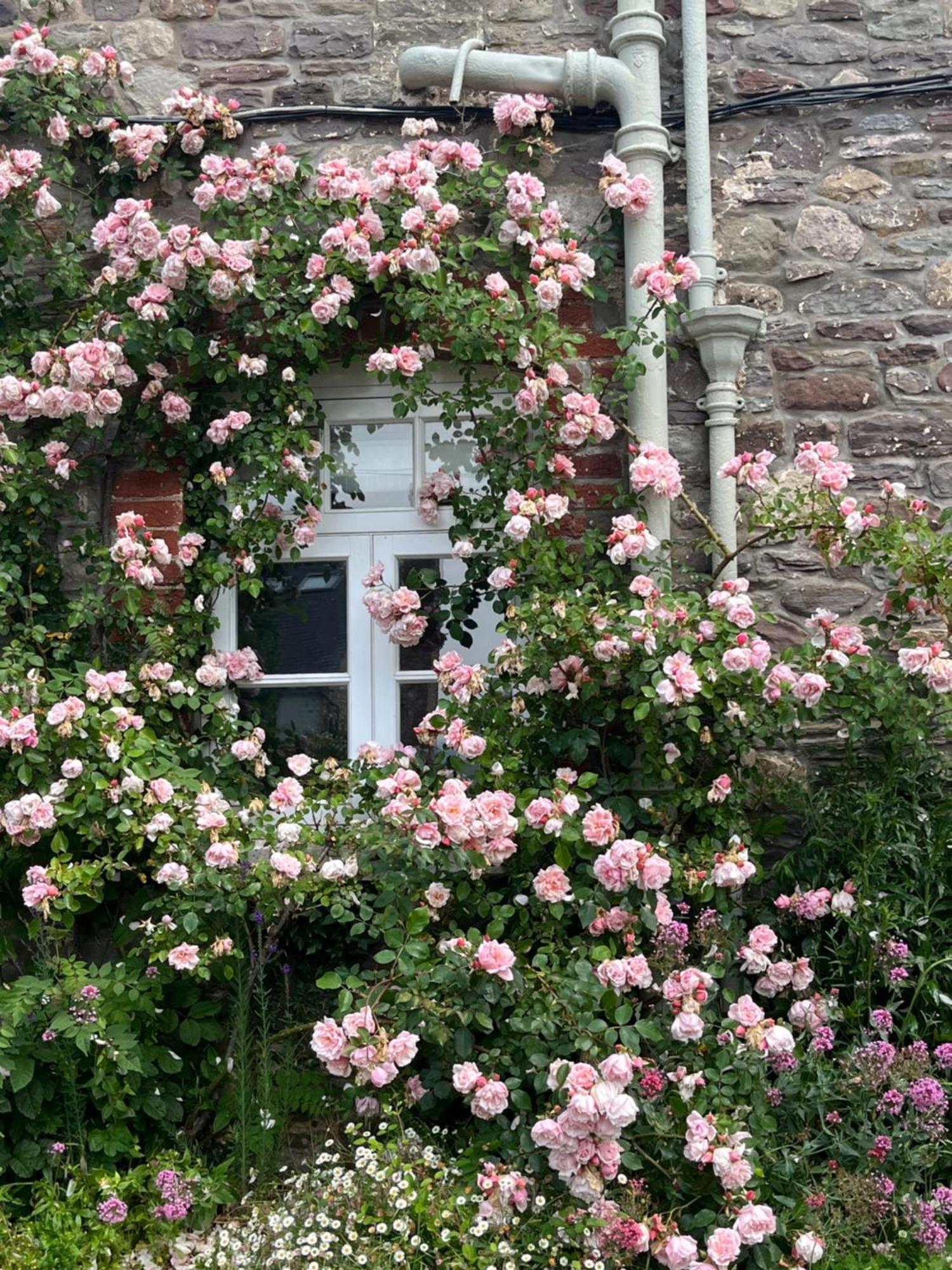 The Cottage Abergavenny Exteriér fotografie